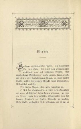 Flieder