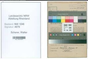 Entnazifizierung Walter Scherer , geb. 06.07.1914 (Ingenieur)