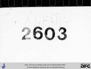 MF Mau 2603