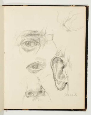 Augen-, Ohr- und Nasenstudie