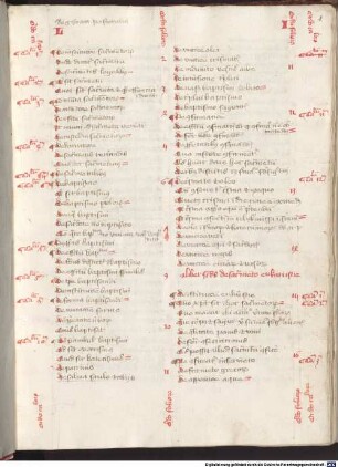 Pastorale novellum (cum glossis) - BSB Clm 14250