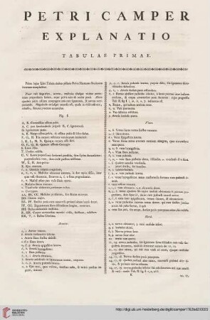 Explanatio tabulae