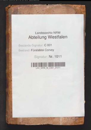 Protokolle des geistlichen Gerichts (Protocollum consistoriale)