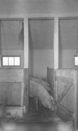Stuttgart Hbf. Gbf Kraftverkehrsstelle Schweinestall