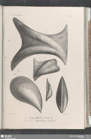 Pl. 401