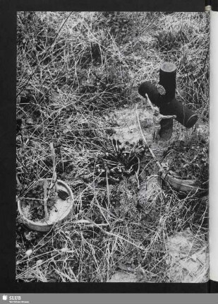 Requiem (auf einem Friedhof)