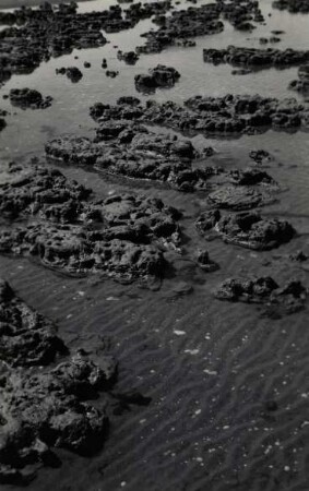 Fossilschlick, Watt
