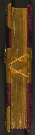 Familienalbum (Mischform zum Sammelalbum) : Familienalbum (Mischform zum Sammelalbum). Samteinband, Messingbeschläge, Messingschließe, Goldschnitt; 29,5 x 23 x 6 cm (um 1890/1900). Dresden: SLUB/DF 1992.C.3