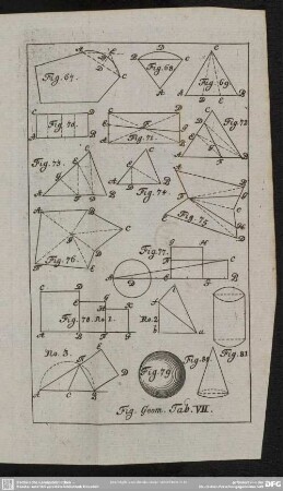 Fig. Geom. Tab. VII.