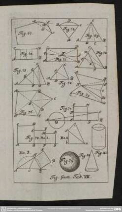 Fig. Geom. Tab. VII.