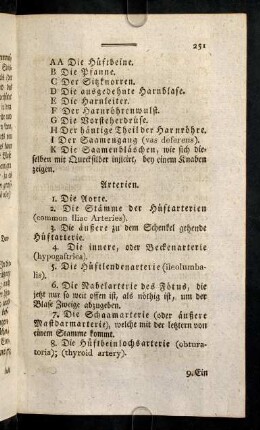 251-262, Arterien; ...