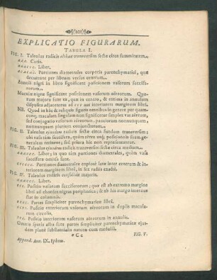 Explicatio Figurarum.