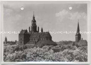 Stargard in Pommern, Kirche St. Marien und Kirche St. Johannis