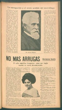La navigación y el sexto sentido del murciélago