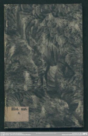Musaeum Gottwaldianum Sive Catalogus Rerum Rariorum, Tam Naturalium, Quam Artificialium ...