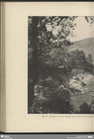 Rapallo, von der Straße nach S. Margherita gesehen