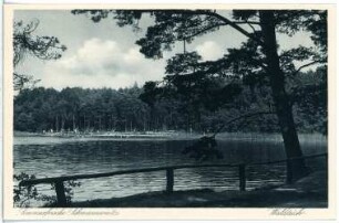 Schmannewitz. Waldteich