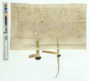 Vor den Schöffen zu Neuss hat Heinrich Blaver, zur Zeit Bürgermeister der Stadt, erklärt, dass ihm durch den Tod Tielchen Schomechers von Freudenberg, seines Oemen, zu Siegen und Freudenberg einiges Erbe und Gut angefallen sei.