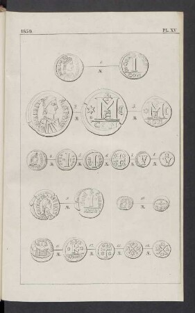 Pl. XV