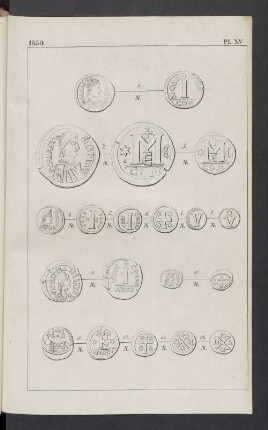 Pl. XV