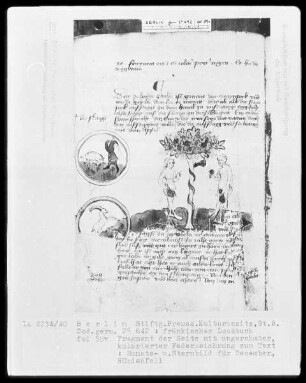 Fränkisches Losbuch — ---, Folio 59versoBuchseite