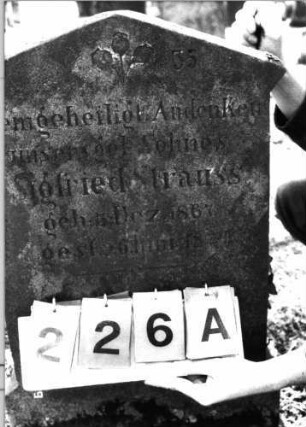 Grabstein 226 (Index: 100100353) Maße HxBxT: 76x44x13 cm Symbolik: Verzierungen, Mohnkapseln Besonderheit: Kindergrab: Grabstein 226A