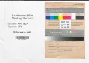 Entnazifizierung Willi Kellermann , geb. 29.09.1895 (Bankoberinspektor)