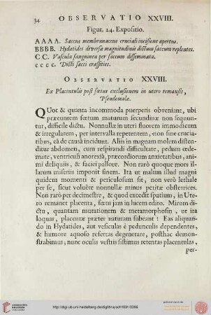Observatio XXVIII