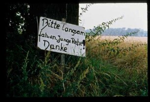 Gatow 2.8.81.