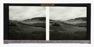 Landschaft mit alten Bergehalden (Haddenberg/Hessen), August 1952
