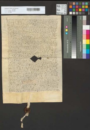 Johann Herr zu Ghemen quittiert über 1072 Florin 19. Alb. für verdorbene Pferde etc.