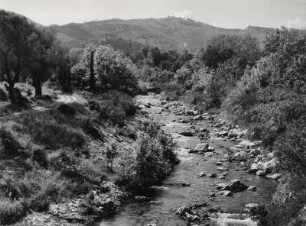 Landschaftsbild auf Samos