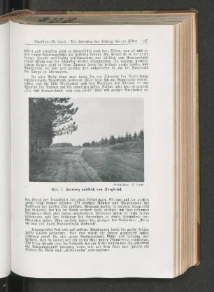 Heerweg nördlich von Sorgbrück