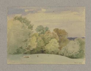 Herbstliches Waldstück