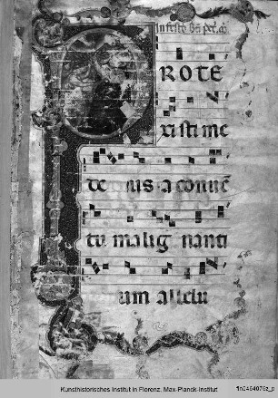 Graduale : Martyrium des Heiligen Petrus Martyr