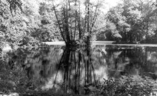 Hohendubrau-Gebelzig-Ober-Gebelzig. Schlossteich, an dem die Wassermühle lag