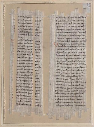 Homiliar - BSB Clm 29319(3