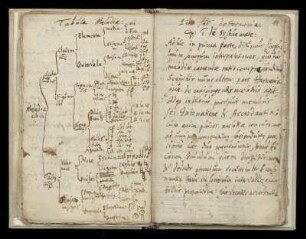 Liber II: De Harmonia