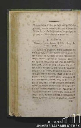 Timian. Thymus vulgaris. Linn. Cl. XIII. Franz. du thim. Engl. thyme.