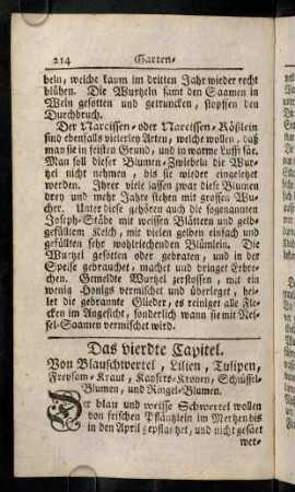 214-231, Capitel 4