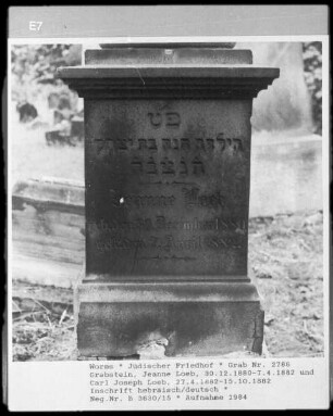 Grabstein von Jeanne Loeb (+ 1882.04.07) und Carl Joseph Loeb (+ 1882.10.15)