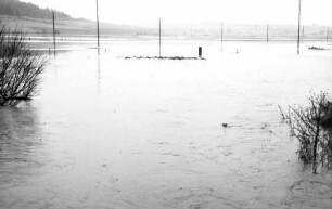 Grüningen: Hochwasser der Brigach bei Grüningen, überschwemmte Wiesen