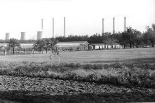 Schwarze Pumpe. Blick über ein Feld gegen eine Gärtnerei. Im Hintergrund Kühltürme und Schornsteine des Braunkohlenveredlungskombinates "Schwarze Pumpe" (1955/1966)