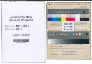 Entnazifizierung Theodor Eigel , geb. 23.12.1911 (Notarassessor)