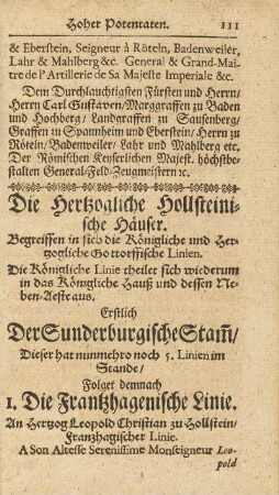 Die Hertzogliche Hollsteinische Häuser