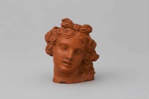 Apollokopf nach Bernini
