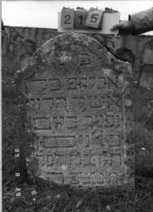 Grabstein 215 (Index: 100107541) Material: Kalkstein Zustand: leicht verwittert, etwas eingesunken Maße HxBxT: 104x66x21 cm Beschreibung: Stele mit geschwungenem Bogenabschluß, Schriftfeld eingetieft: Grabstein 215