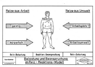 Belastung und Beanspruchung im Reiz-Reaktions-Modell