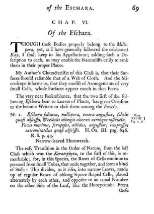 Chap. VI. Of the Eschara