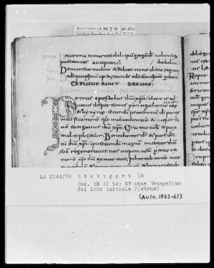 Bibliorum pars finalis, Pauli epistolae, Actus apostolorum, Epistolae canonicae, Apocalypsis — Initiale P(etrus), Folio 220verso